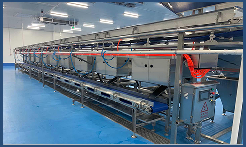 Shrimp Peeling And Deveining Machine - POWERTECH