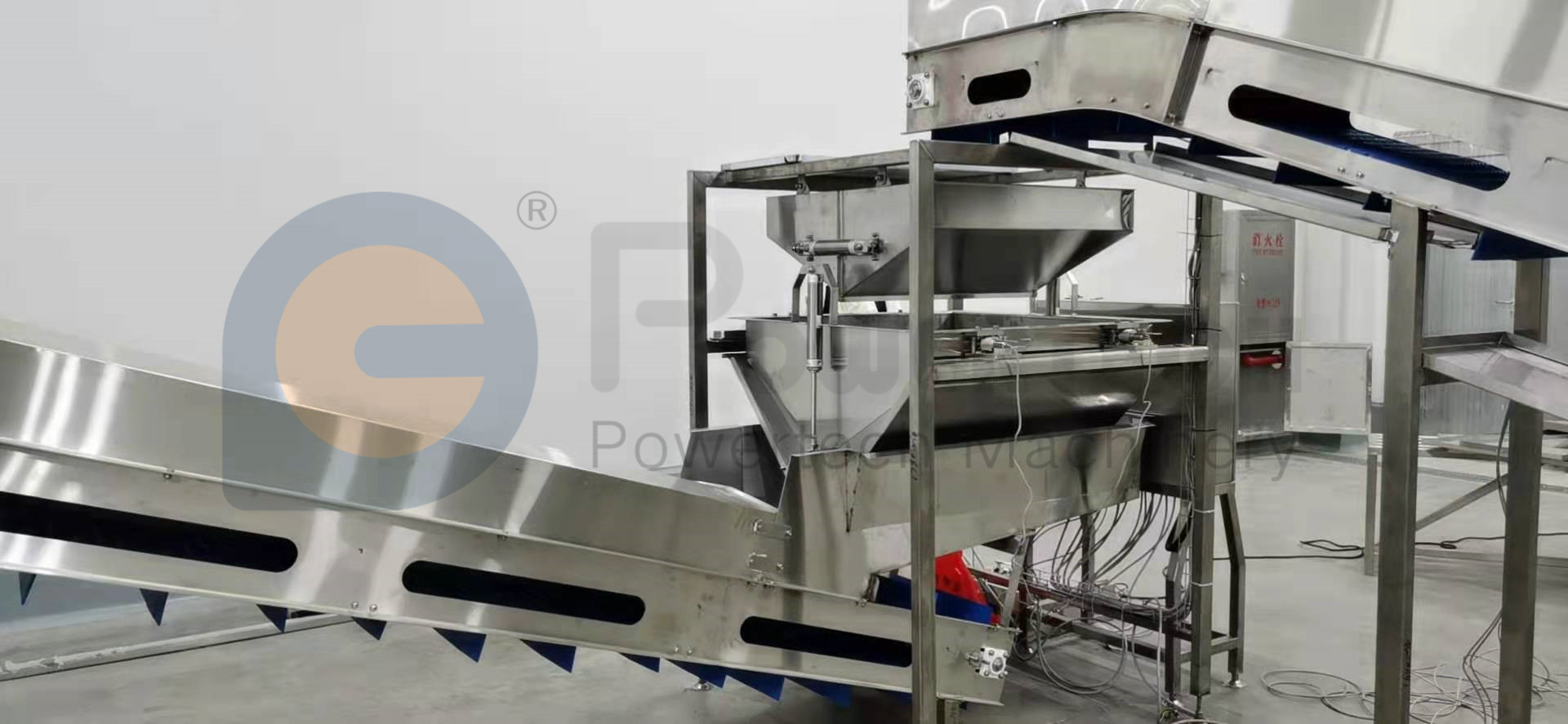 Easy Operation Automatic Catfish Processing Line from China